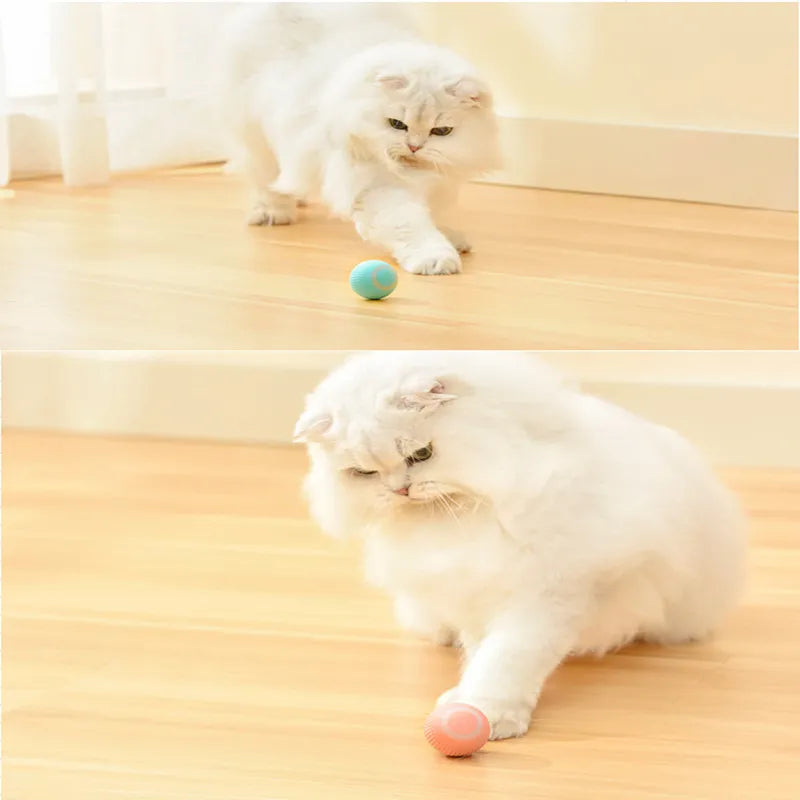 Training Self-moving Kitten Electric Cat Ball