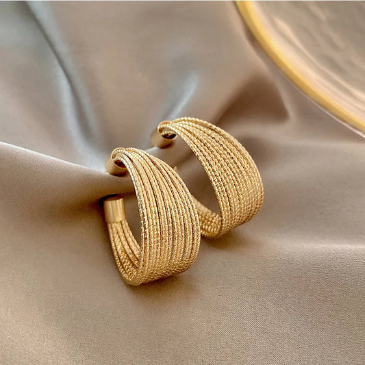 Elegant Retro Stainless Hoops