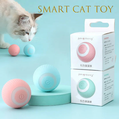 Training Self-moving Kitten Electric Cat Ball