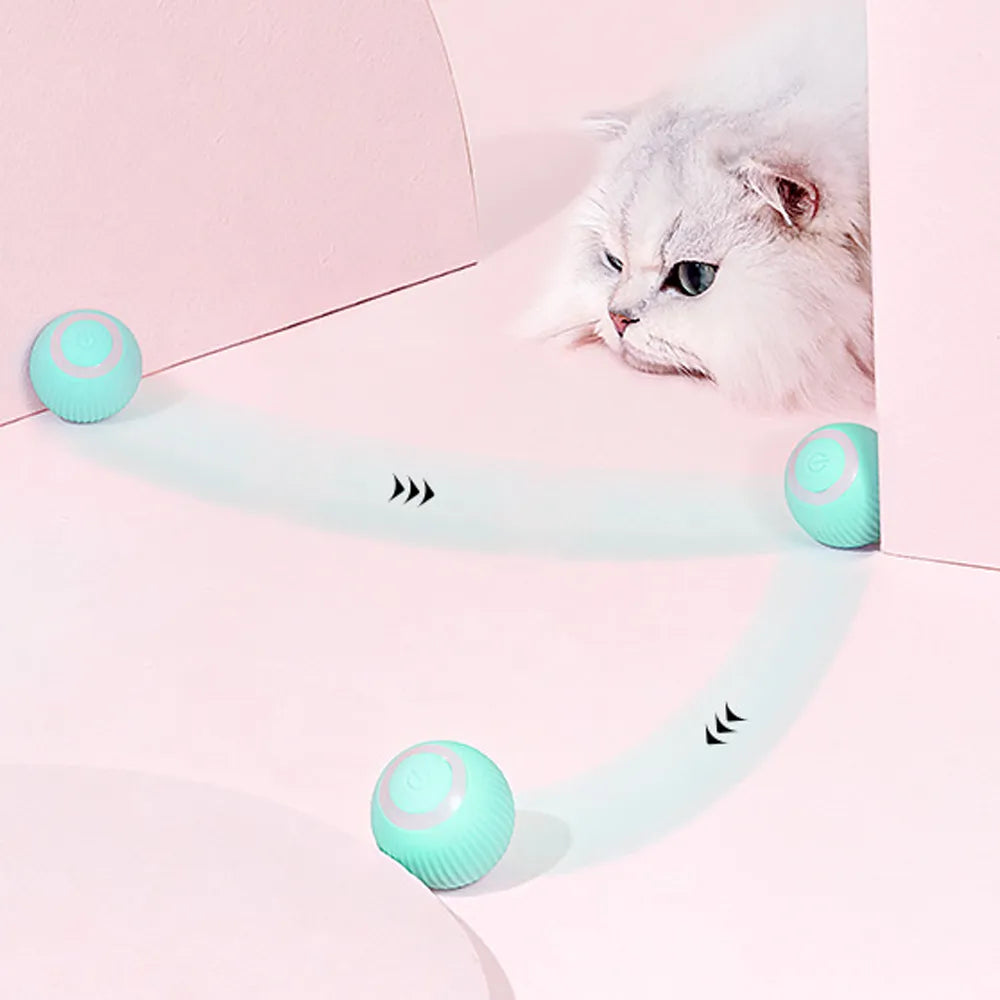 Training Self-moving Kitten Electric Cat Ball