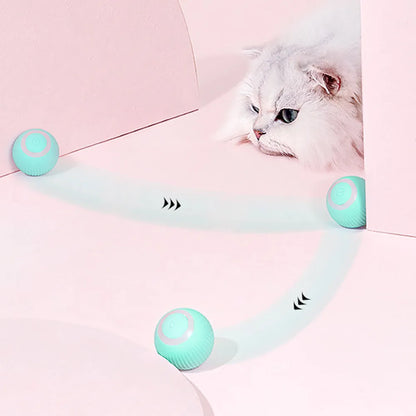 Training Self-moving Kitten Electric Cat Ball